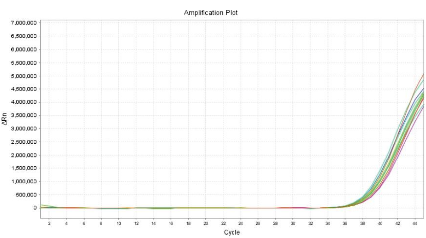 精密度和靈敏度相關數據