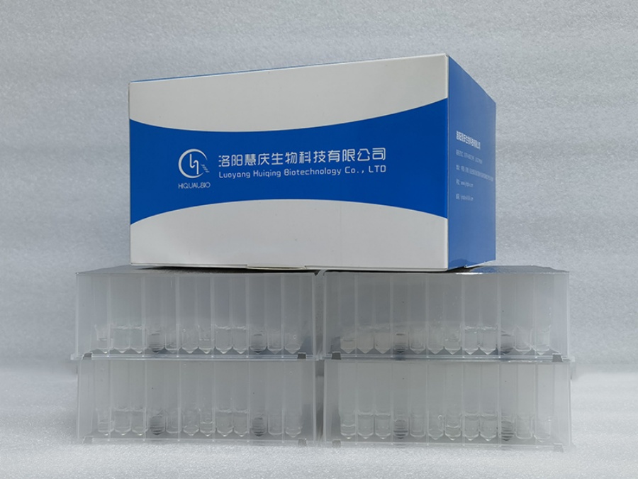 動(dòng)物組織中核酸的提取有哪些應(yīng)用？提取注意事項(xiàng)有哪些？